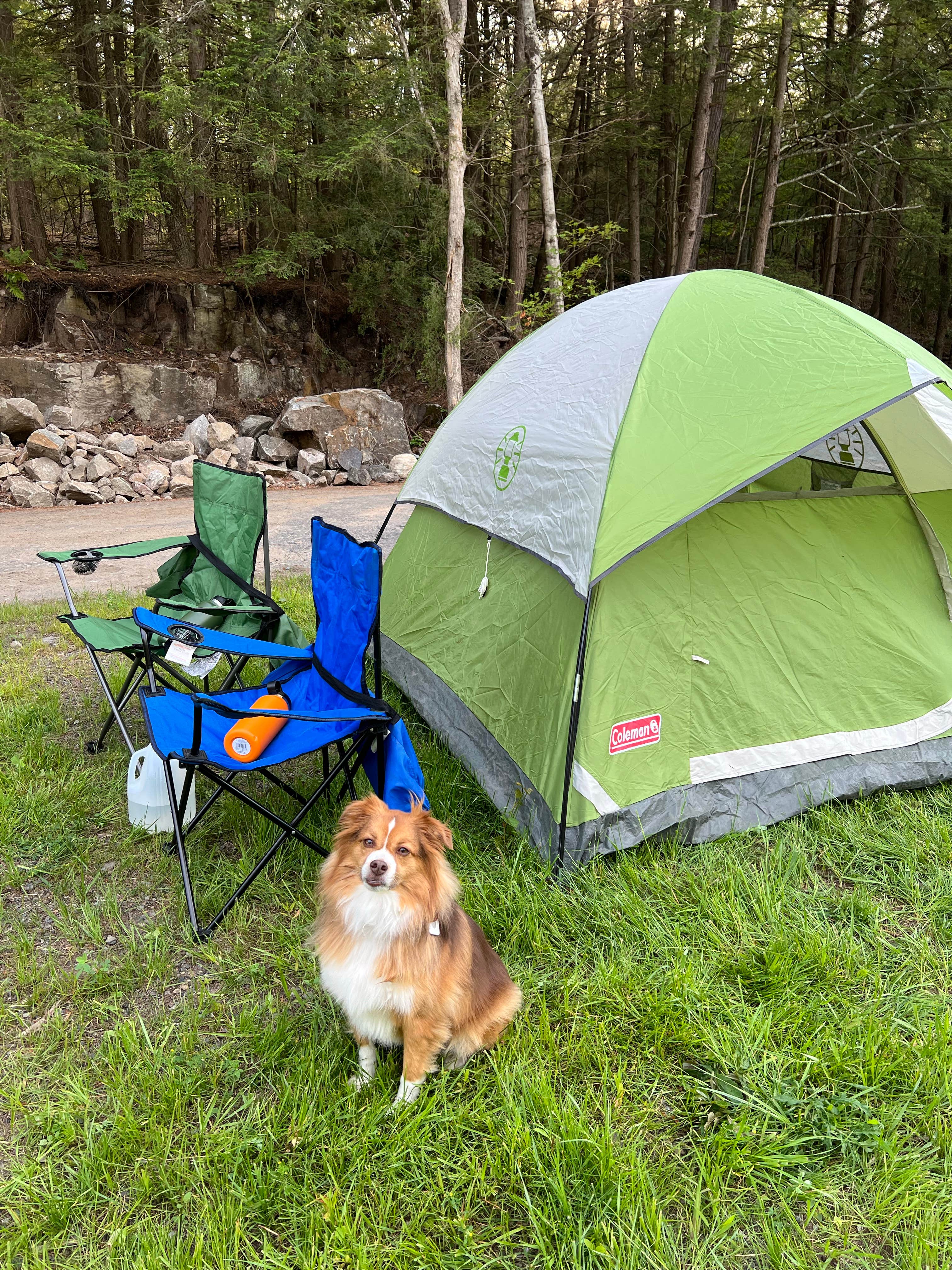 Camper-submitted photo at Whippoorwill Campsites near Gansevoort, NY