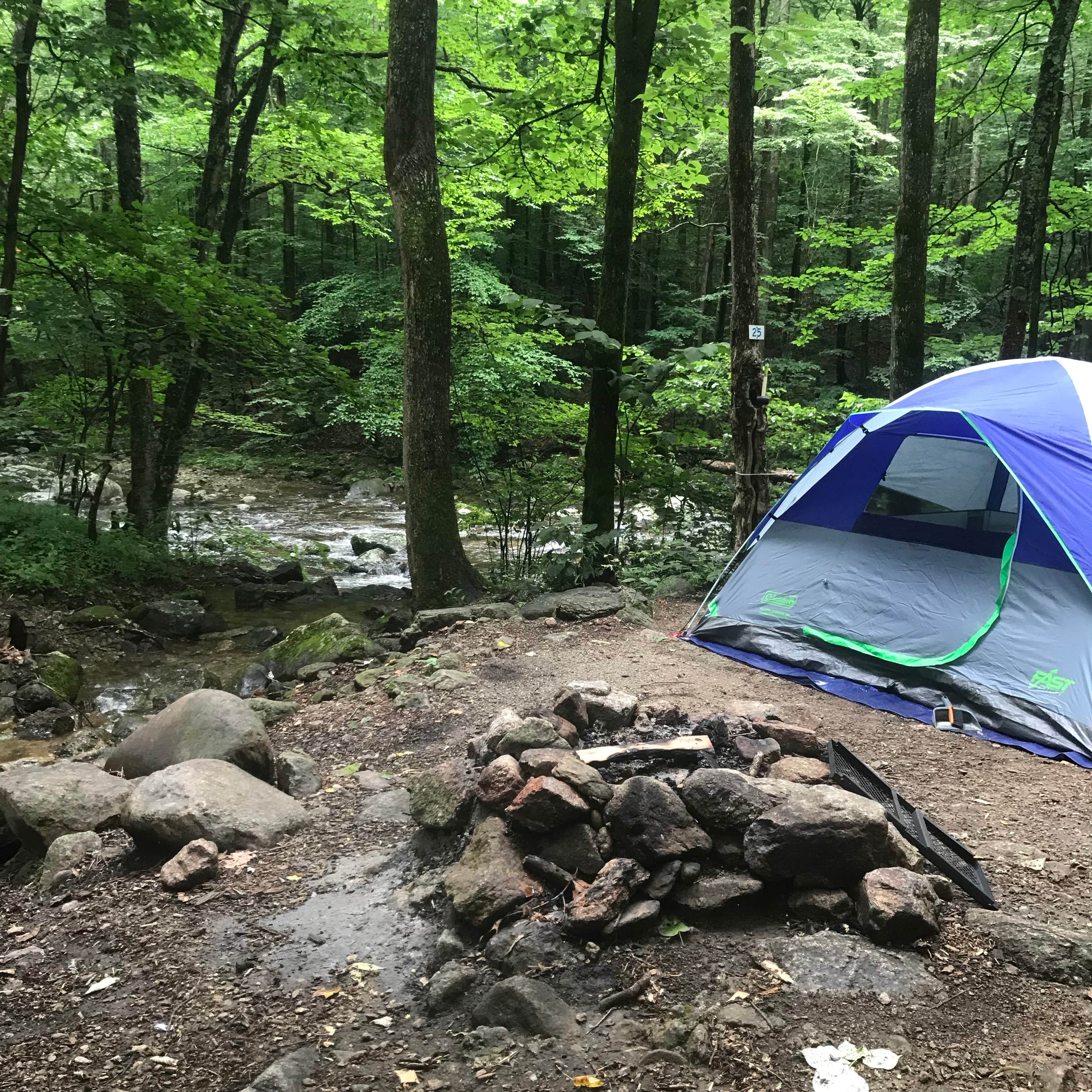 Heather L.'s photo at Crabtree Falls Campground near George Washington & Jefferson National Forests