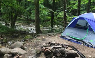 Heather L.'s photo at Crabtree Falls Campground near Stuarts Draft, VA