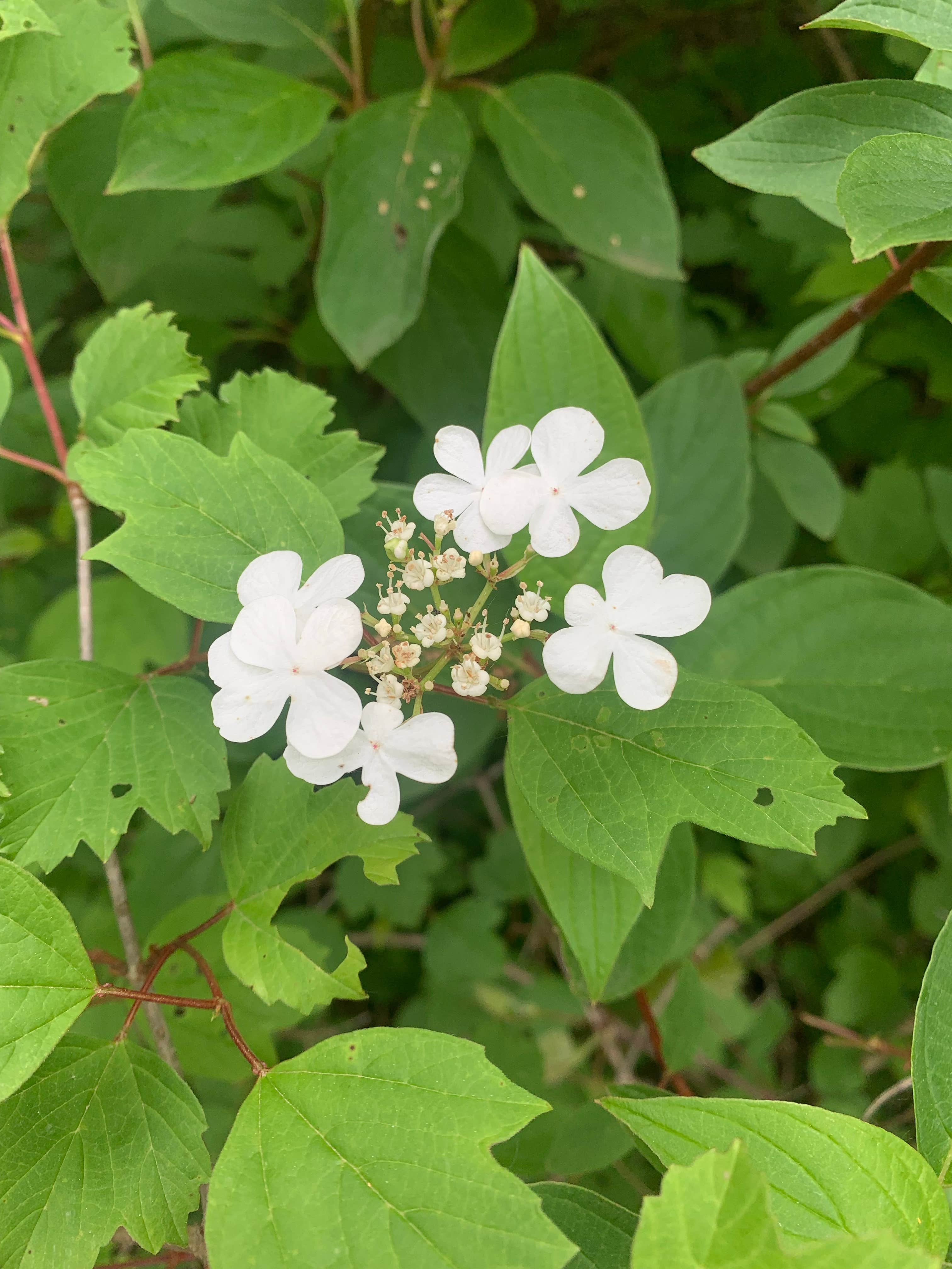 Camper-submitted photo at Pioneer Park Campground near Twin Lake, MI