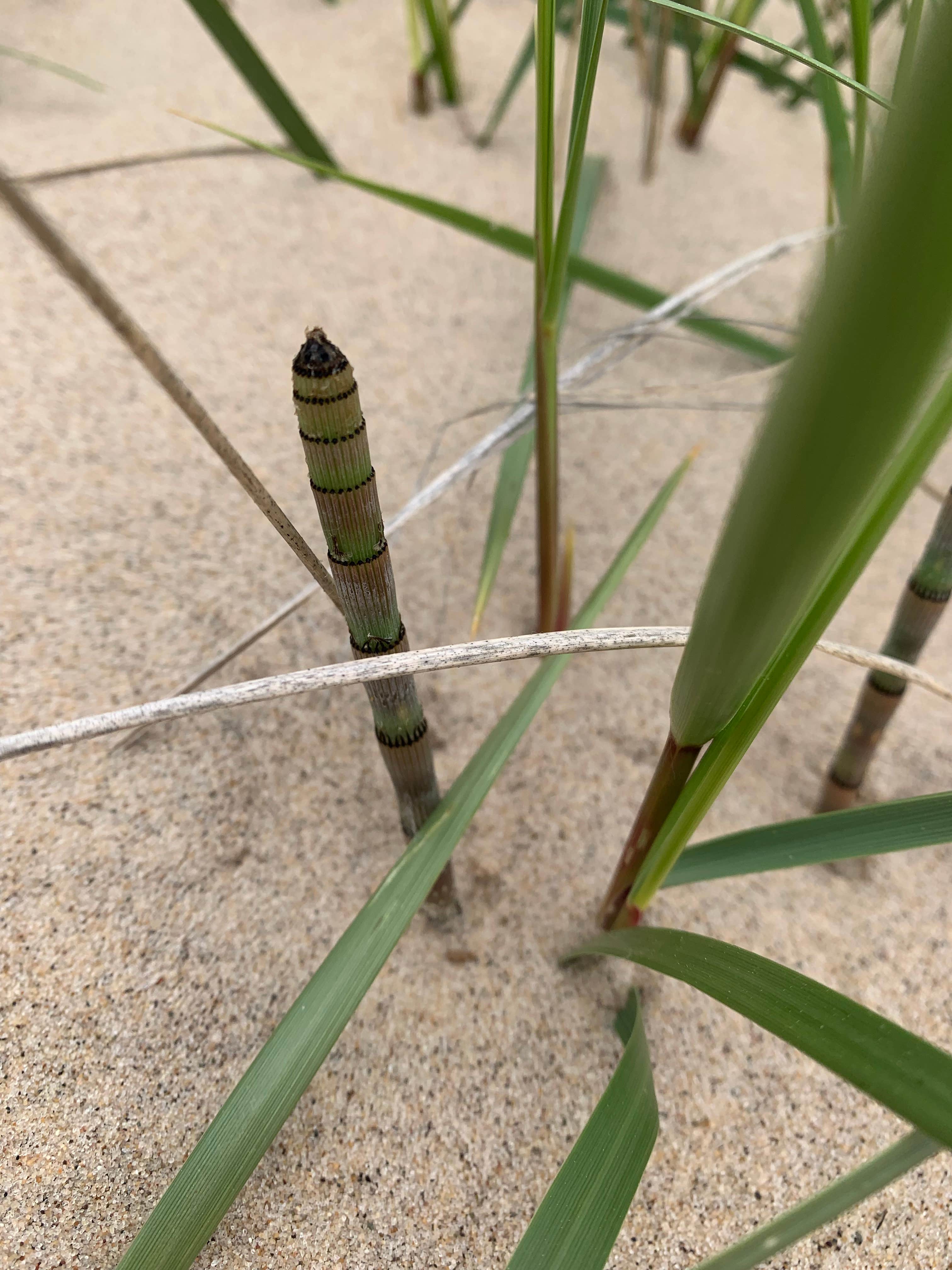Camper-submitted photo at Pioneer Park Campground near Twin Lake, MI