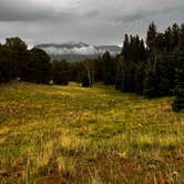 Review photo of Mueller State Park Campground by Bethany H., July 3, 2022