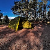 Review photo of Mueller State Park Campground by Bethany H., July 3, 2022