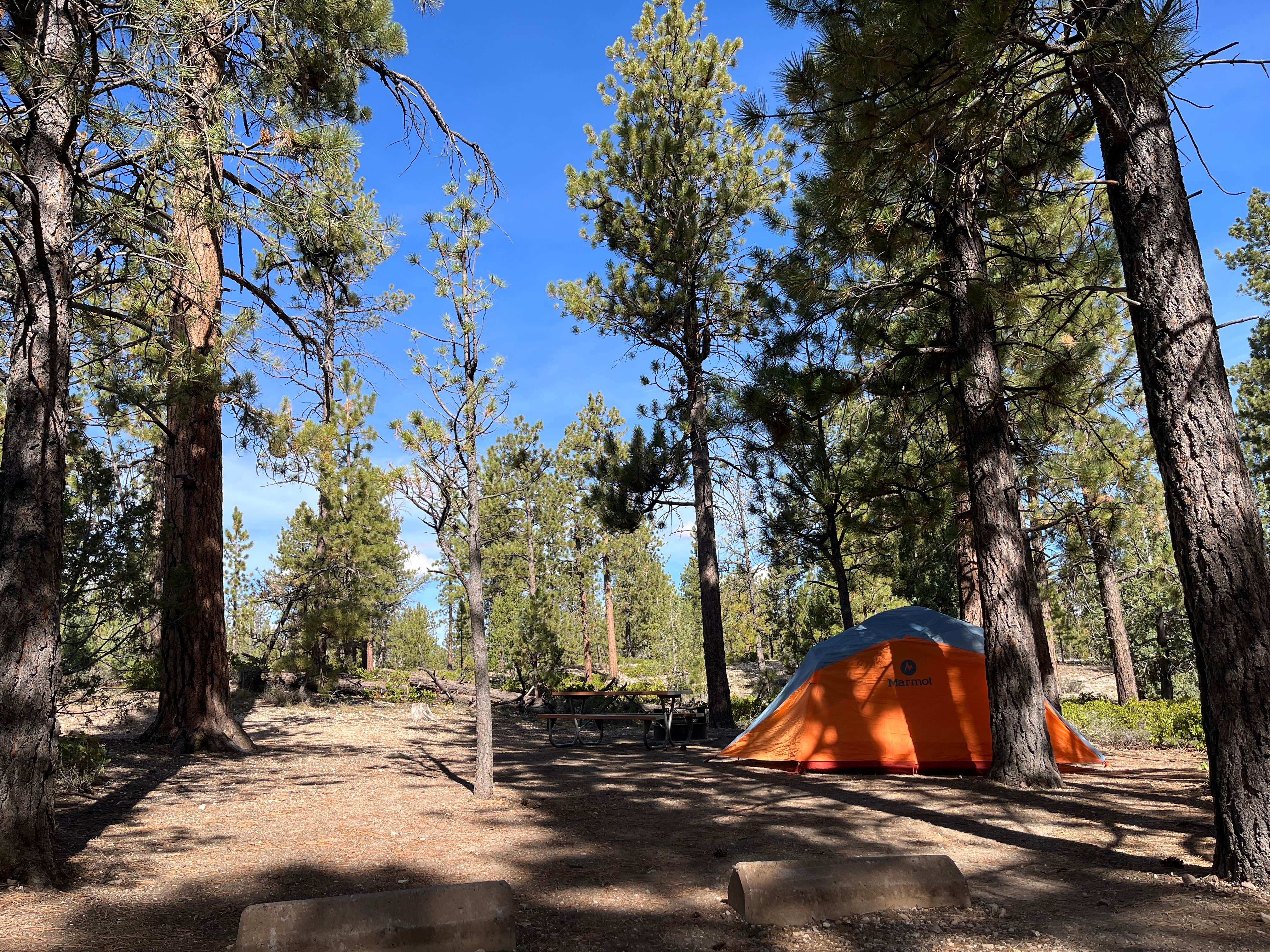shea's photo at Sunset Campground — Bryce Canyon National Park near Bryce Canyon National Park