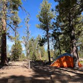 Review photo of Sunset Campground — Bryce Canyon National Park by shea , July 3, 2022