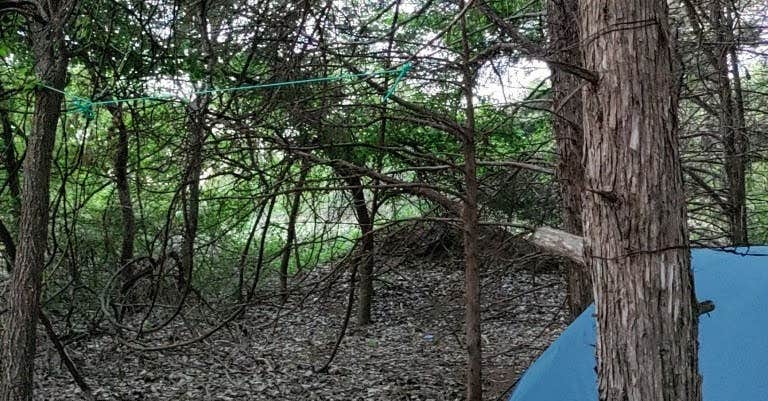 Camping near Spring Hill Campground — Boiling Springs State Park: Longdale, Canton, Oklahoma