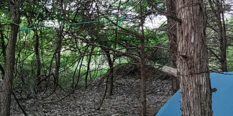 Camper submitted image from Longdale