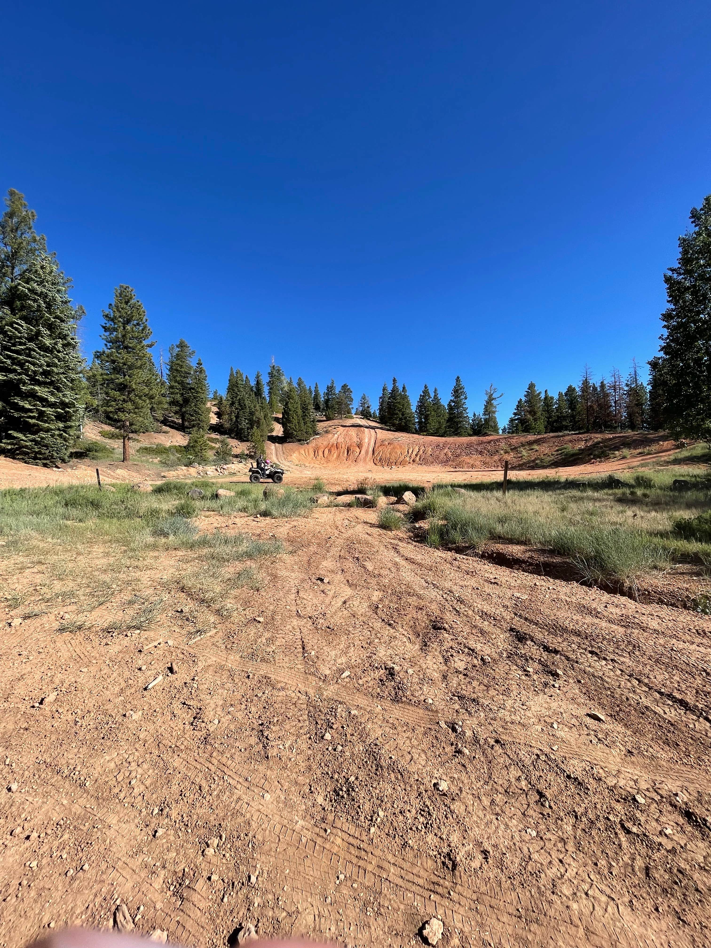 Camper submitted image from Mammoth Dispersed - 4
