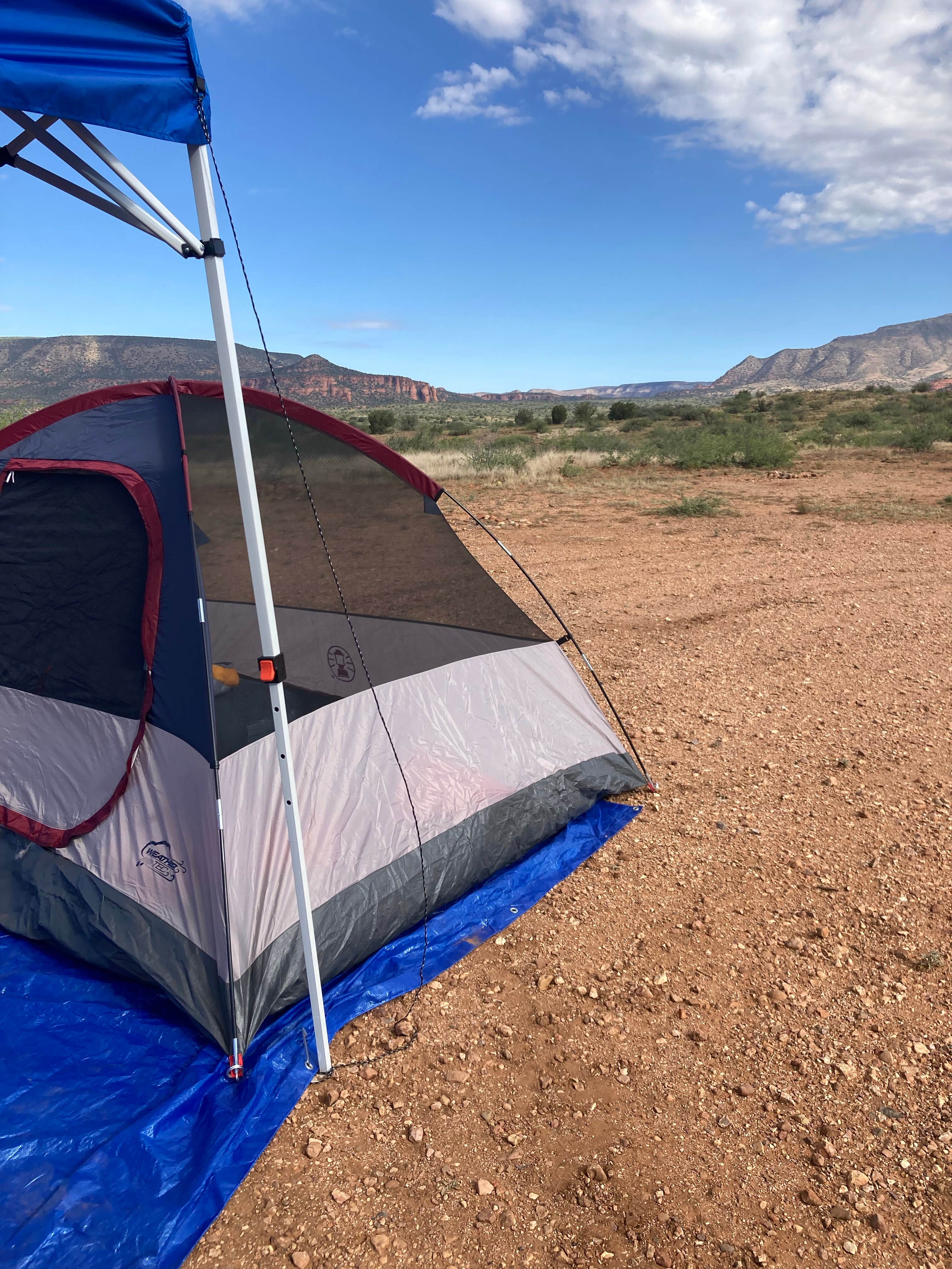 Camper submitted image from Forest Road 525C -Sycamore Pass Dispersed - TEMPORARILY CLOSED - 3