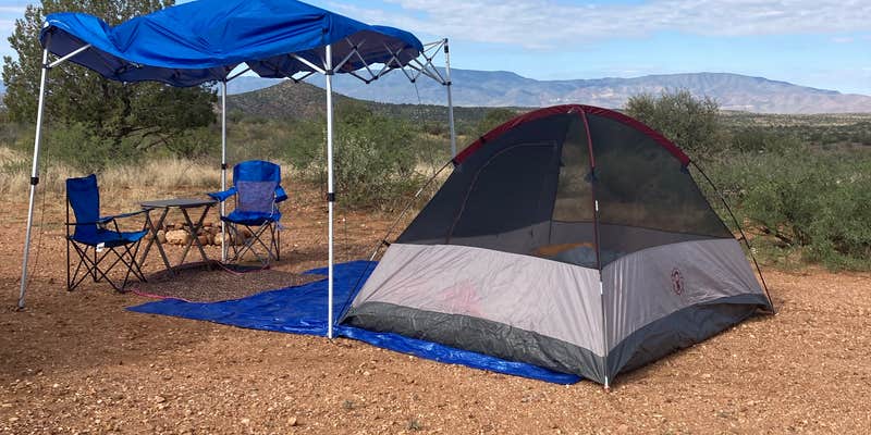 Camper submitted image from Forest Road 525C -Sycamore Pass Dispersed - TEMPORARILY CLOSED