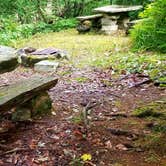 Review photo of Balsam Mountain Campground — Great Smoky Mountains National Park by Katrin M., July 3, 2022