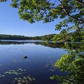 Review photo of Tobyhanna State Park Campground by Jeff K., July 3, 2022