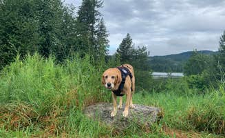 Brooke T.'s photo of camping with pets at Rose Lake near Cataldo, ID