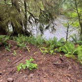 Review photo of Dawleys Sol Duc River Campground by Ryan O., July 3, 2022