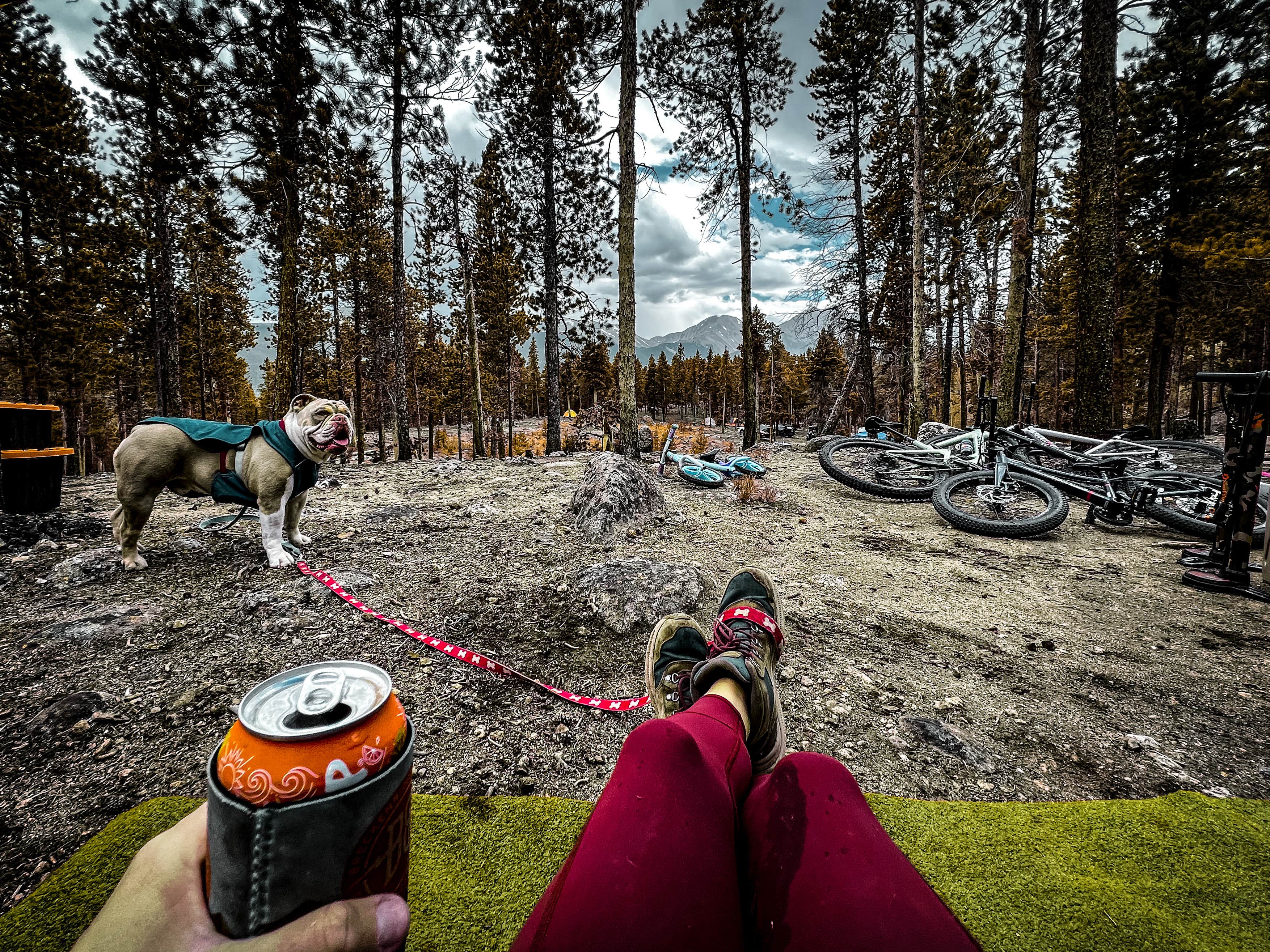 Camper submitted image from Twin Lakes Dispersed Camping - Site 1 West - 5