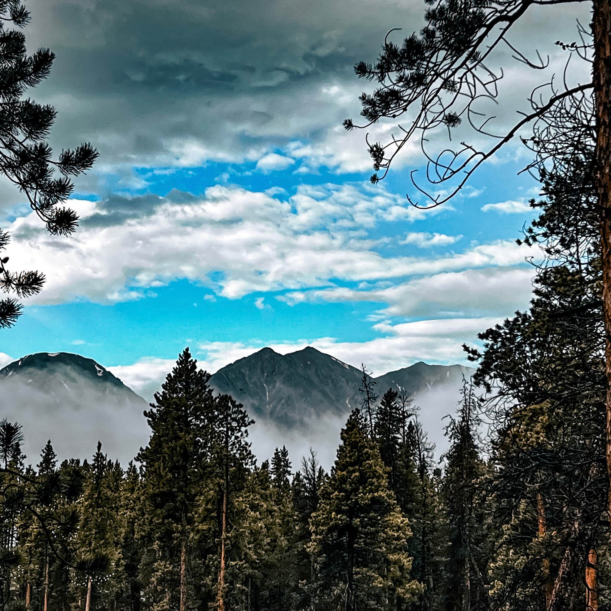 Twin Lakes Dispersed Camping Camping The Dyrt