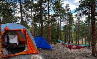Camping near Crescent Mining Camp: Twin Lakes - Dispersed Camping, Granite, Colorado