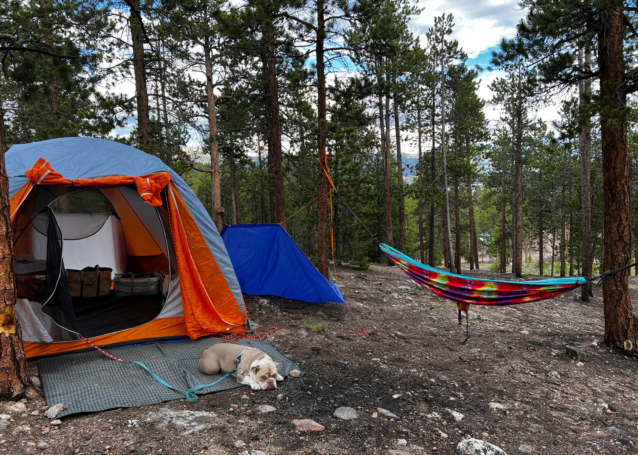 Twin Lakes Dispersed Camping Camping The Dyrt