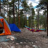 Review photo of Twin Lakes Dispersed Camping - Site 1 West by Keriann F., July 3, 2022