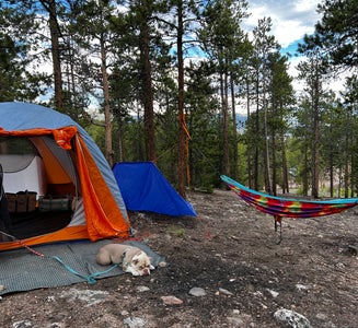 Camper-submitted photo from Twin Lakes - Dispersed Camping
