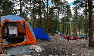 Twin Lakes - Dispersed Camping