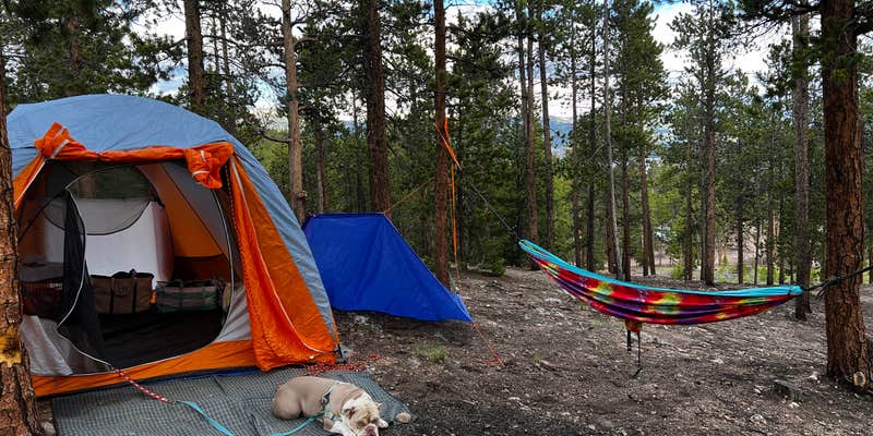 Camper submitted image from Twin Lakes Dispersed Camping - Site 1 West