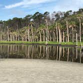 Review photo of Hunting Island State Park Campground by Michele B., July 17, 2018