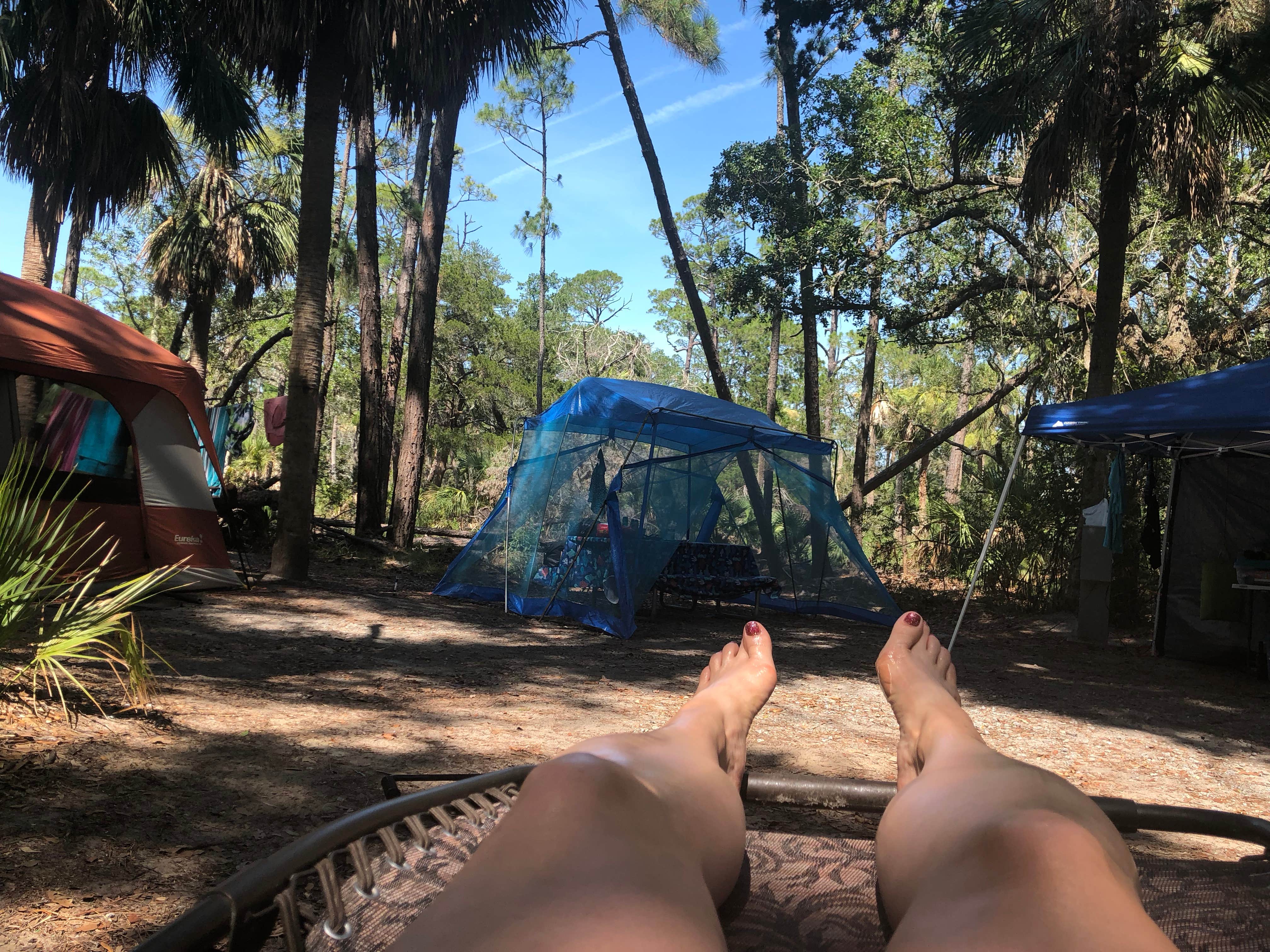 Michele B.'s photo at Hunting Island State Park Campground near Port Royal, SC