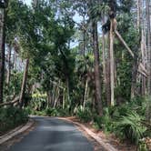 Review photo of Hunting Island State Park by Michele B., July 17, 2018