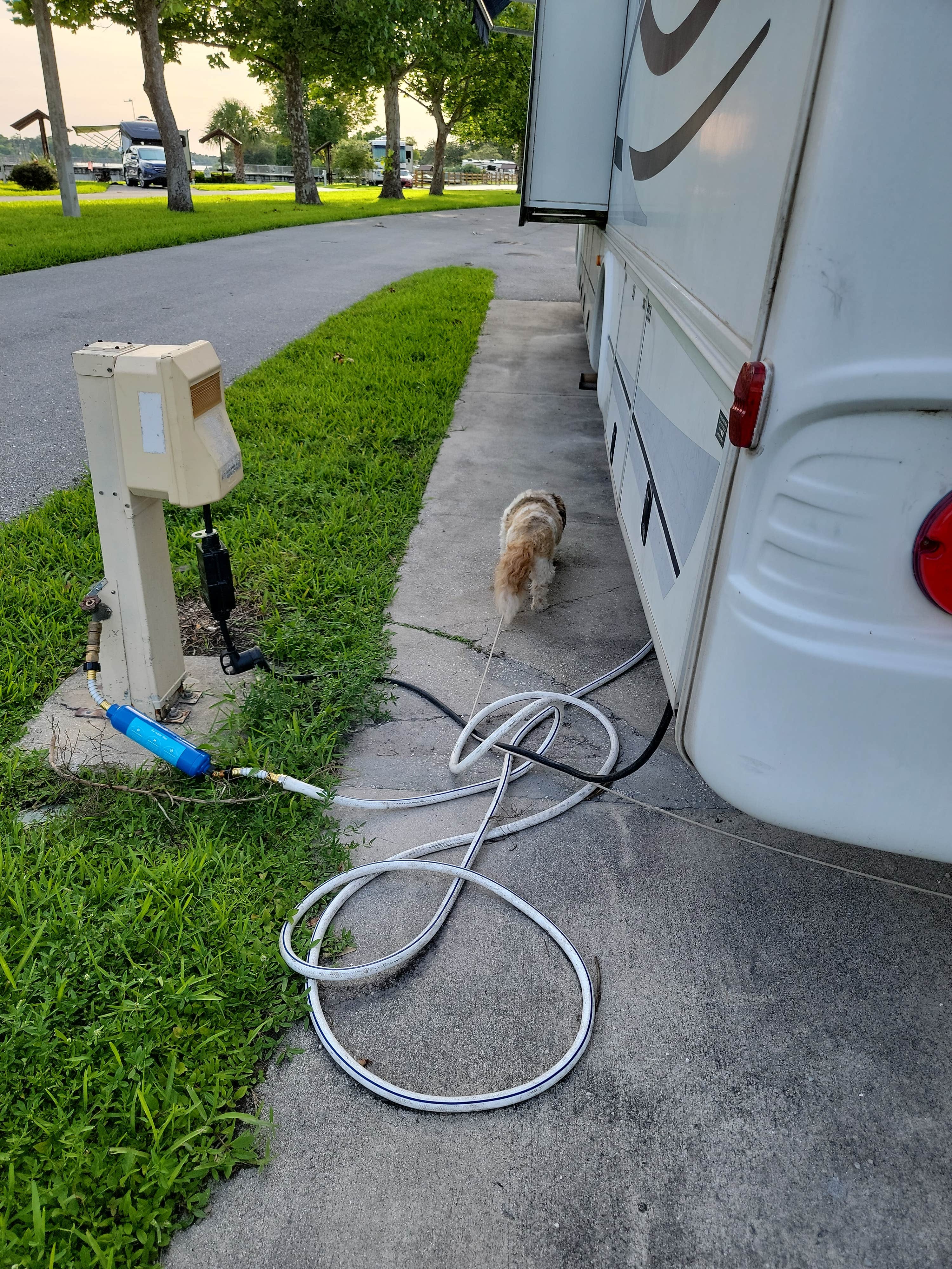 Michael B.'s photo of camping with pets at W.P. Franklin N near Sanibel, FL