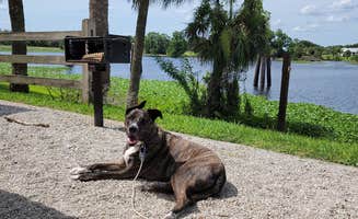 Michael B.'s photo of camping with pets at W.P. Franklin N near Sanibel, FL