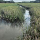 Review photo of Hunting Island State Park Campground by Michele B., July 17, 2018
