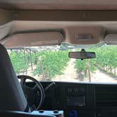 Review photo of Vintage in the Vineyard by Linda A., July 4, 2022