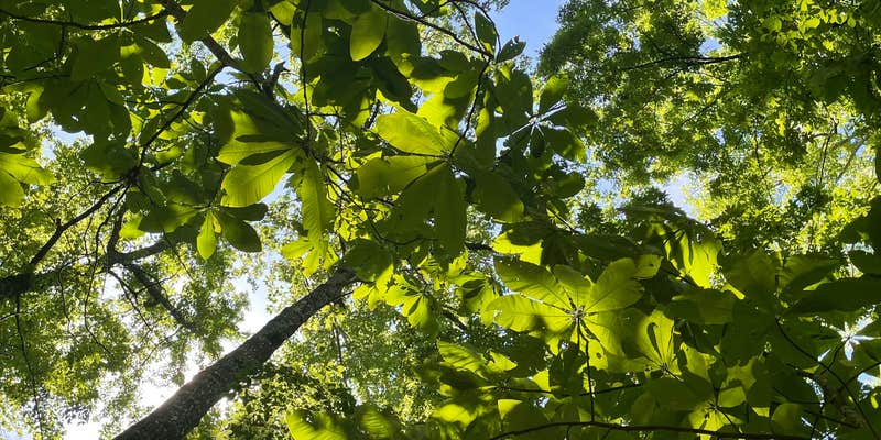 Camper submitted image from Crystal Campground