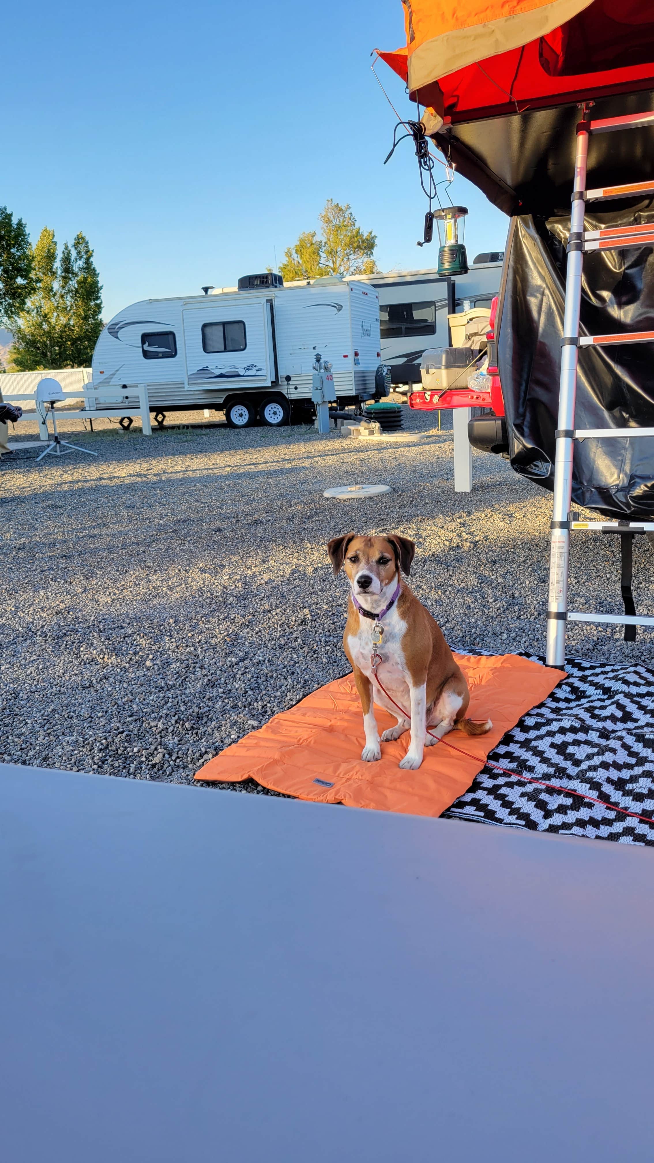 Camper-submitted photo at Clark Park near Battle Mountain, NV