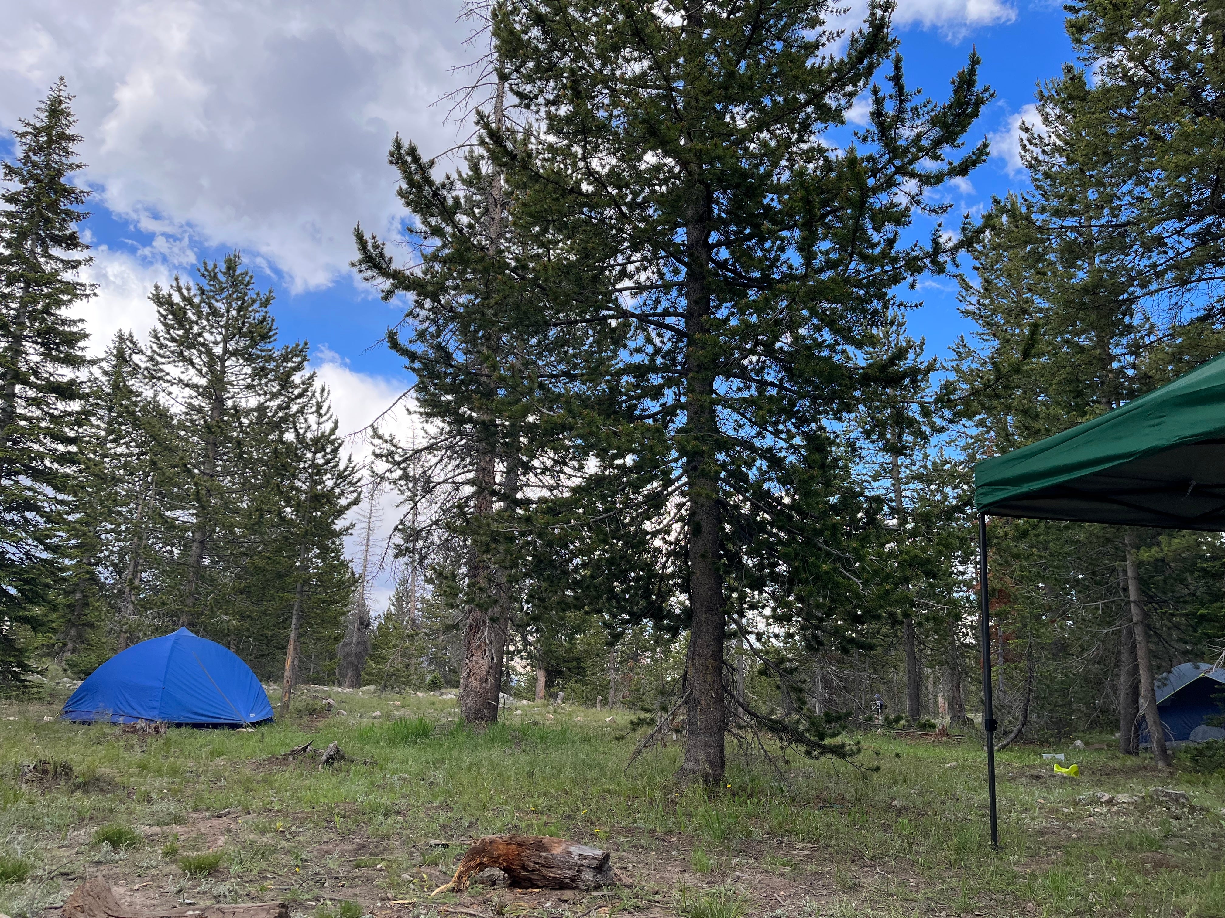 Camper submitted image from FR 963 - Dispersed Camp - 1