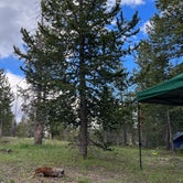 Review photo of FR 963 - Dispersed Camp by Megan Thackeray R., July 4, 2022