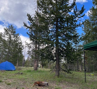 Camper-submitted photo from FR 963 - Dispersed Camp