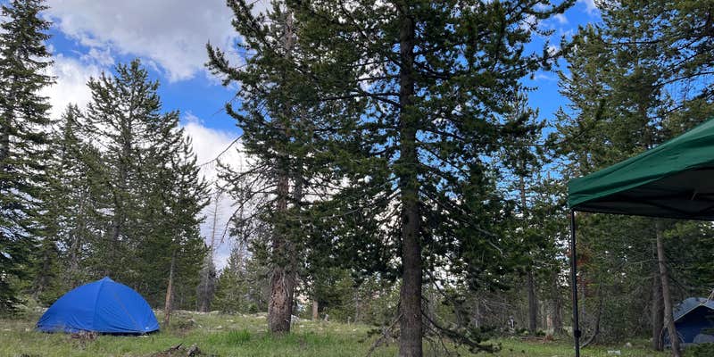 Camper submitted image from FR 963 - Dispersed Camp