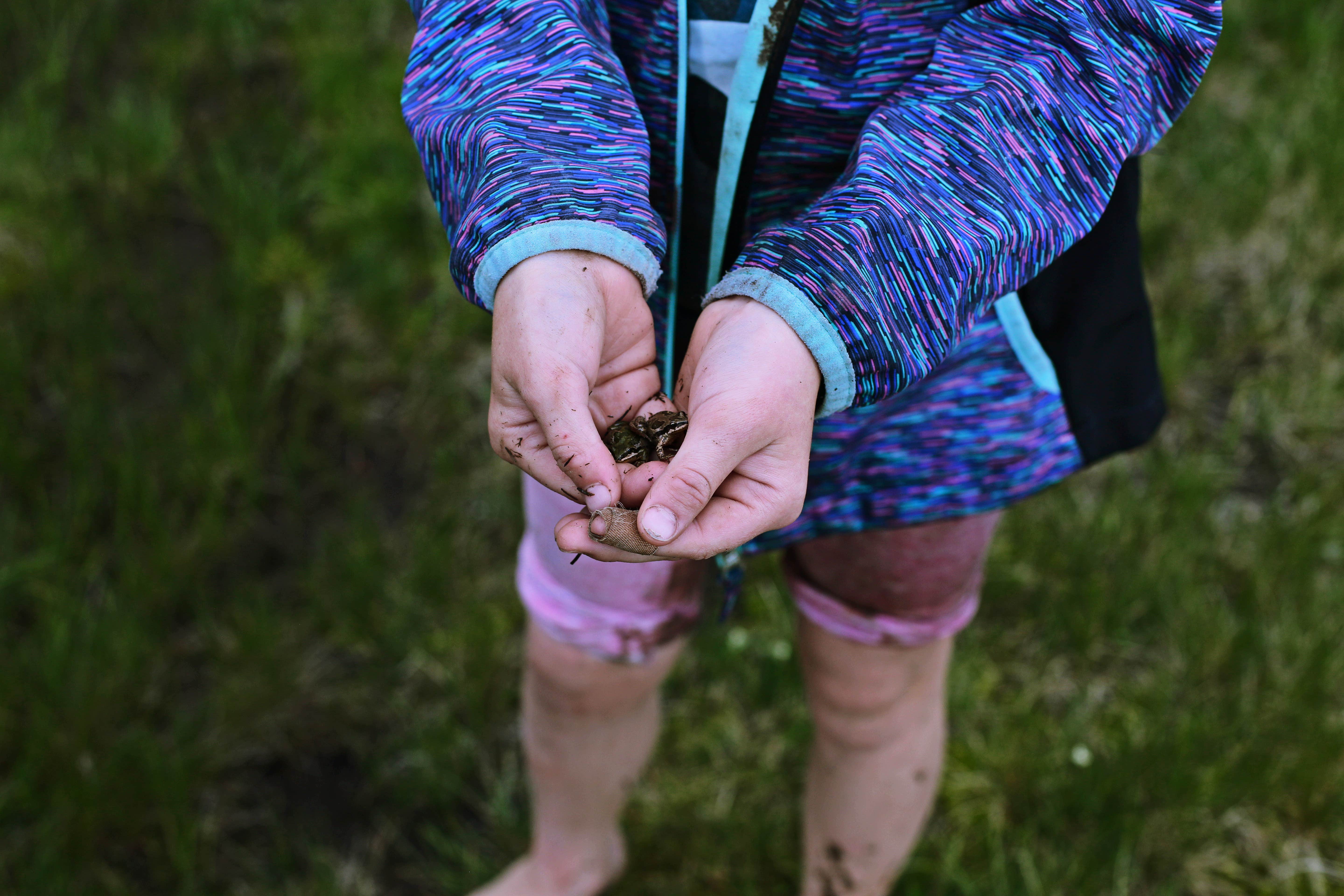 Camper-submitted photo at FR 963 - Dispersed Camp near Oakley, UT