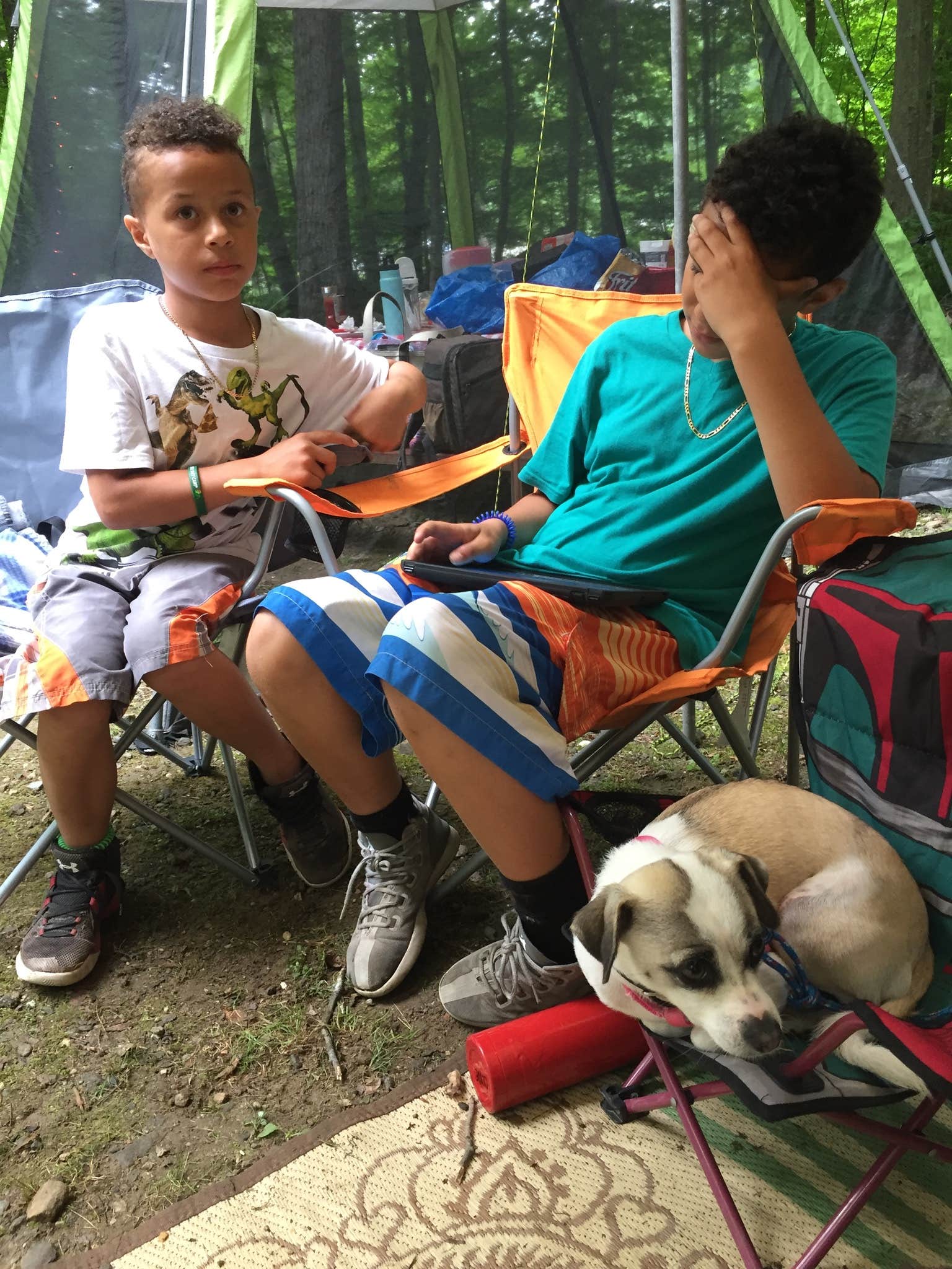 Erin M.'s photo of camping with pets at Waters Edge Family Campground near Cutchogue, NY