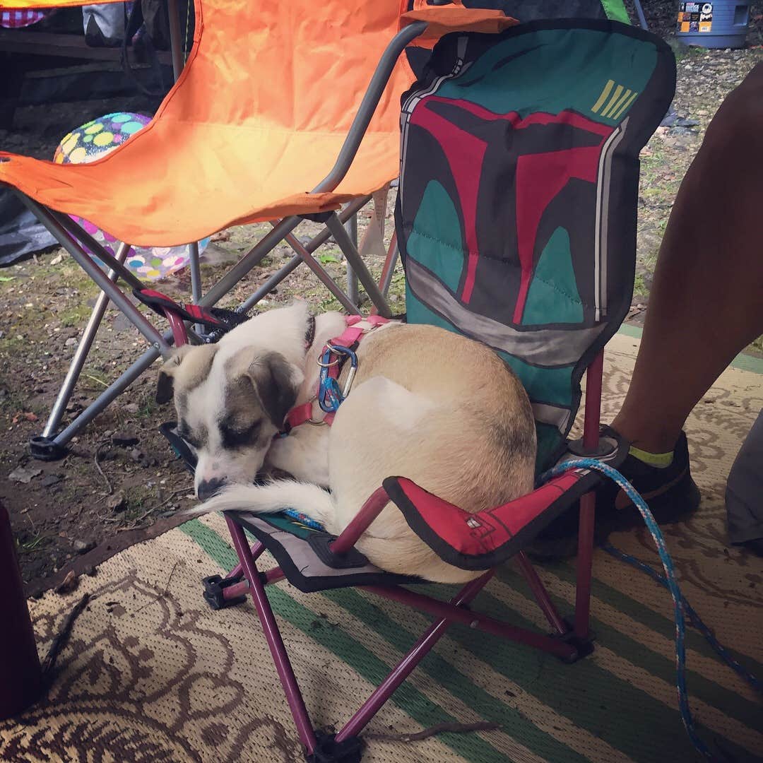 Camper-submitted photo at Waters Edge Family Campground near Rocky Hill, CT