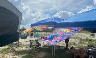 Chelsea M.'s photo at Bohemian Freedom Ranch near Kenansville, FL