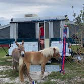 Review photo of Bohemian Freedom Ranch by Chelsea M., July 4, 2022