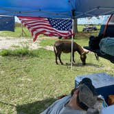 Review photo of Bohemian Freedom Ranch by Chelsea M., July 4, 2022