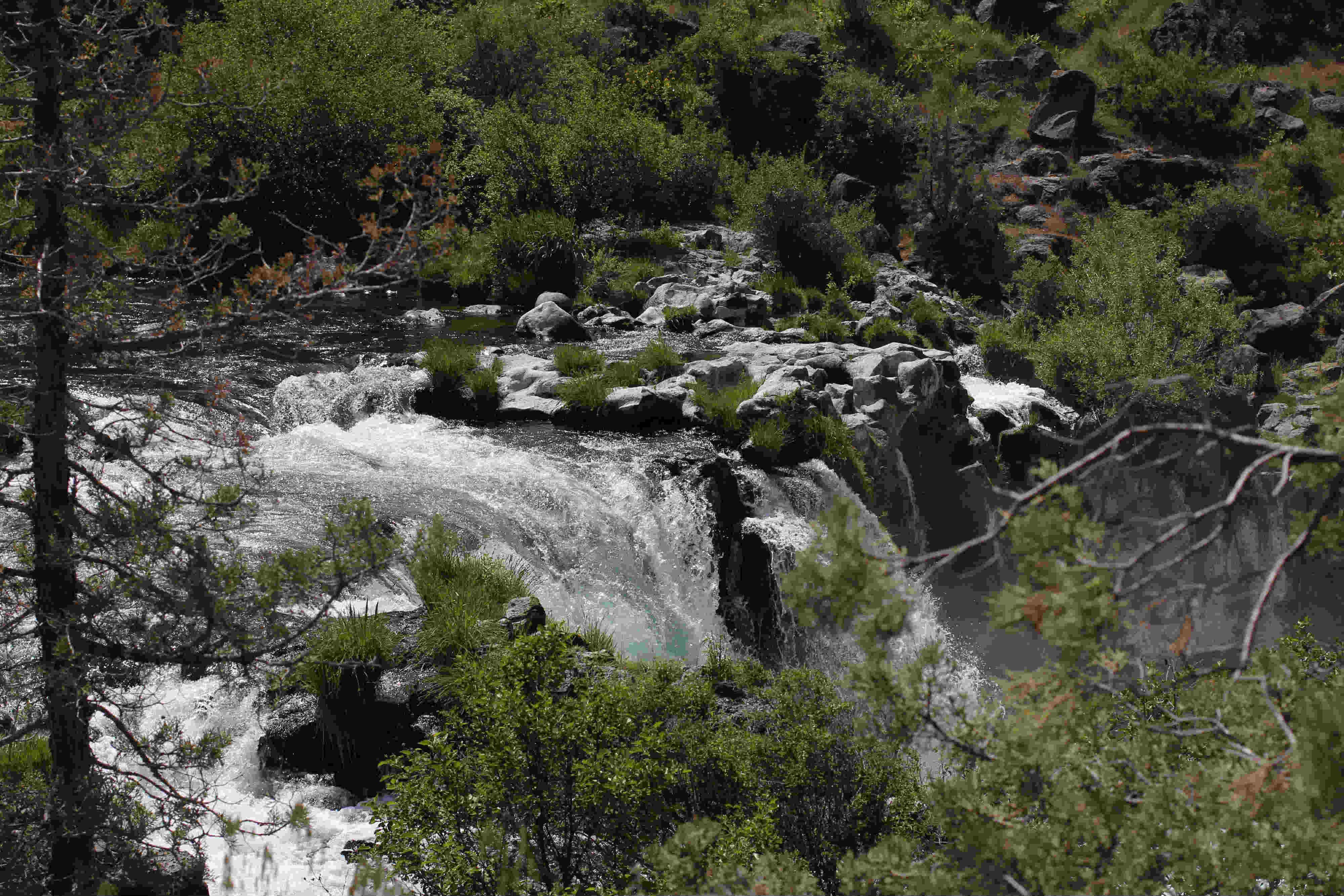 Nature