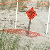 Review photo of Hunting Island State Park Campground by Michele B., July 17, 2018