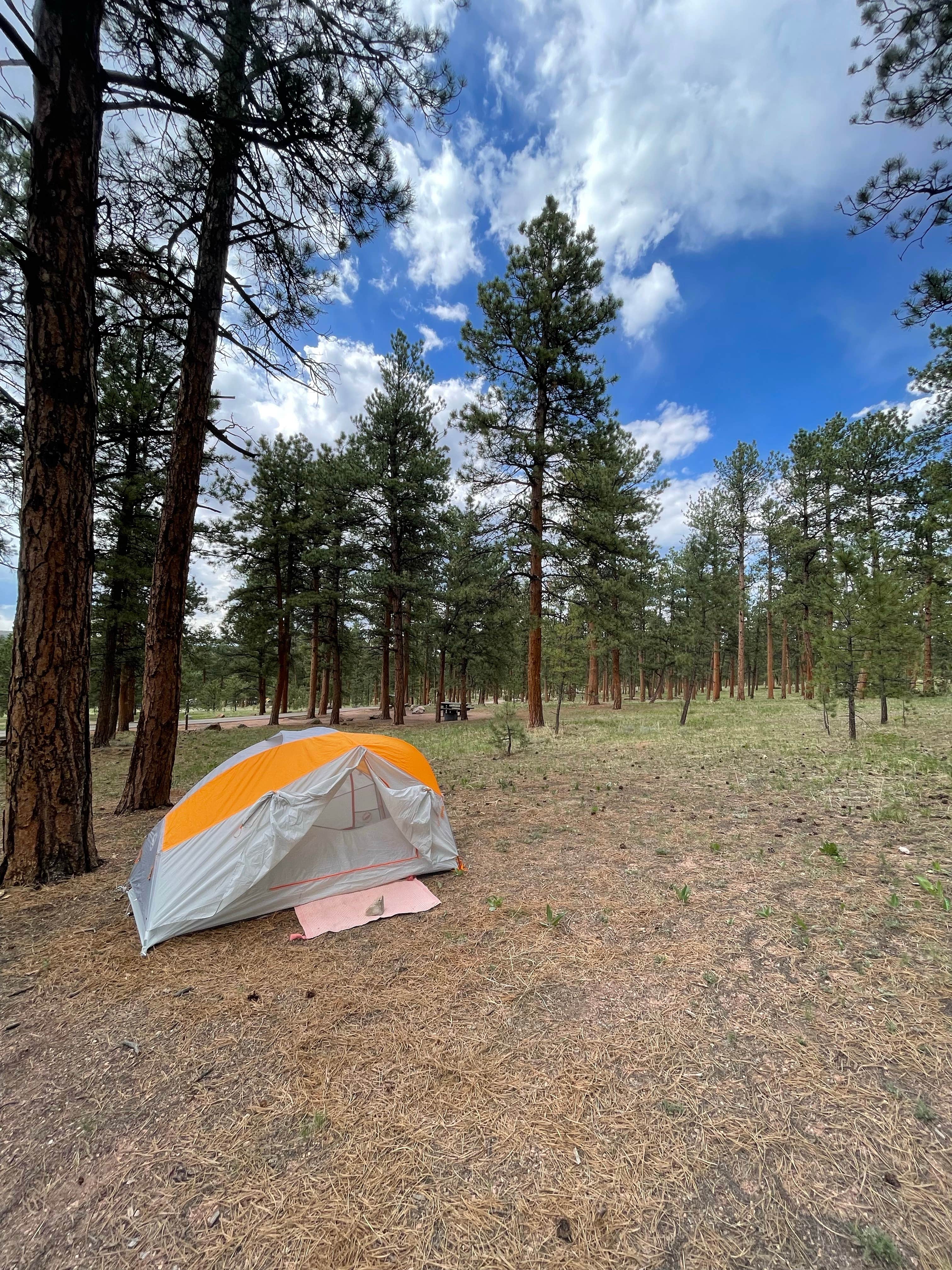 Caroline F.'s photo at Colorado Campground near Larkspur, CO