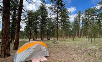 Caroline F.'s photo at Colorado Campground near Larkspur, CO
