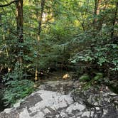 Review photo of Ricketts Glen State Park Campground by Gregory L., July 1, 2022